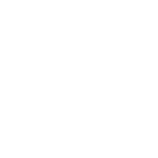 Comprehensive Employee Central Support