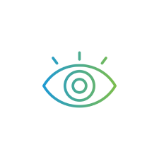 Our Vision